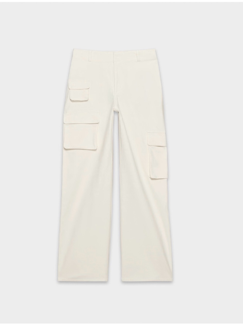 Aritzia Wilfred Free Picture Cargo in Light Birch ✨